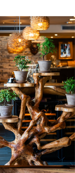 Emovere - restaurant CAGNES-SUR-MER