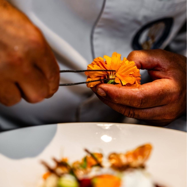 Le restaurant - Emovere - restaurant CAGNES-SUR-MER